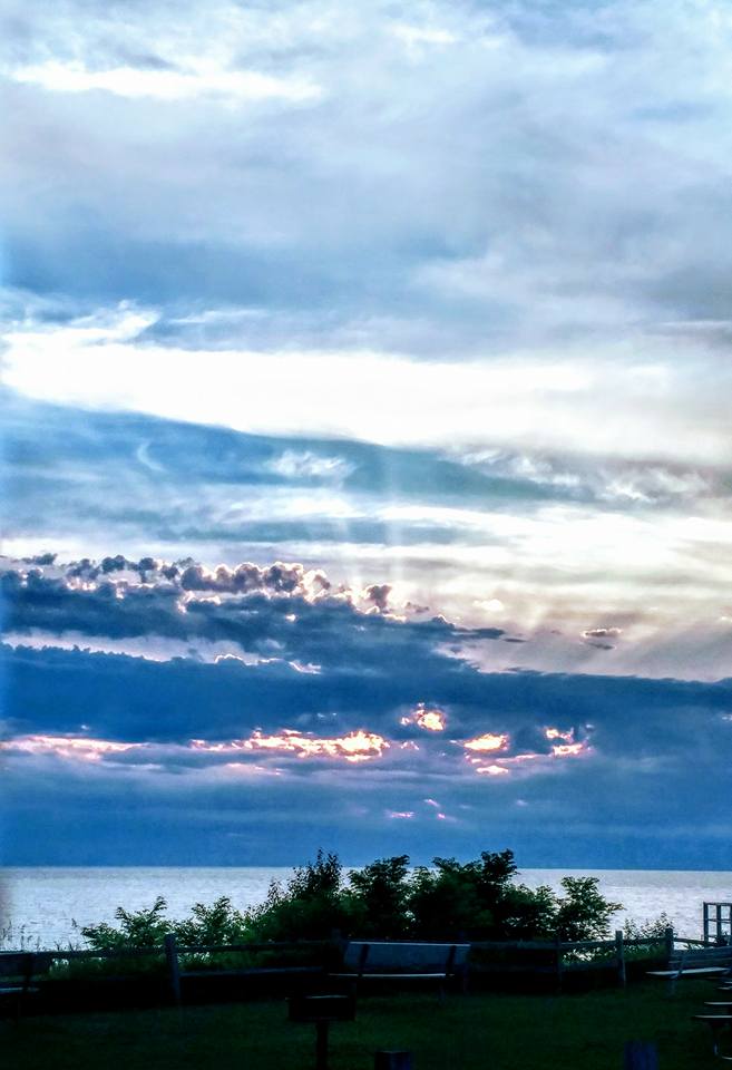 Sunset behind pines