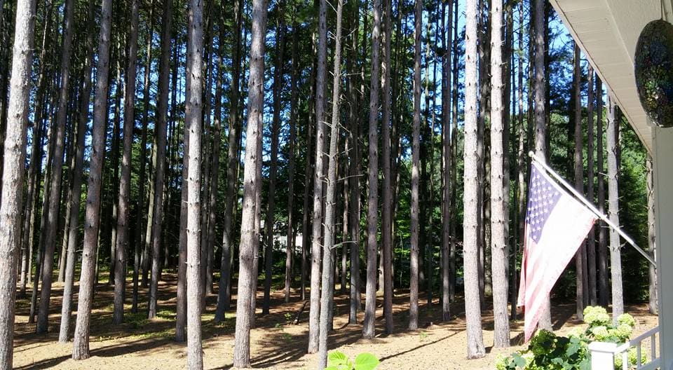 American flag among the pines at Inn The Pines