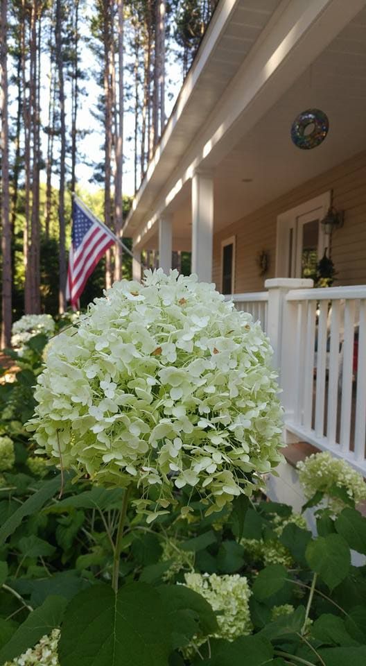 Wraparound porch at Inn The Pines surrounded by pine trees