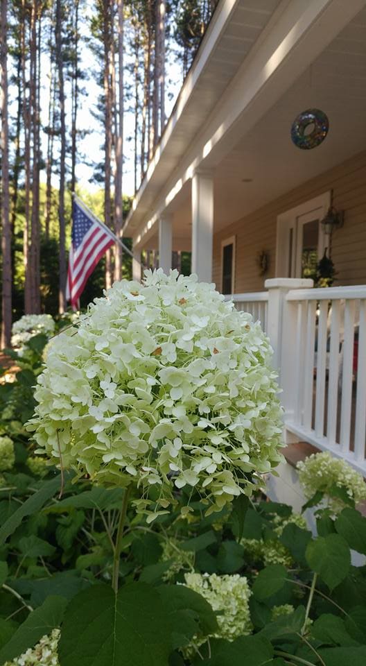 Inn The Pines property view 5